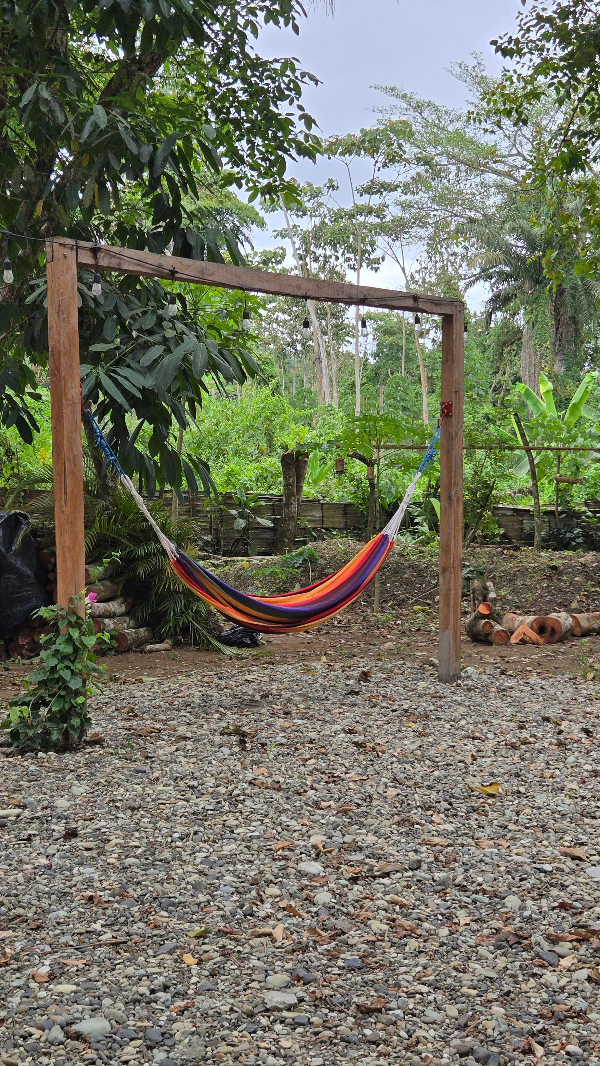 Una hamaca colgada entre los árboles del bosque de la finca