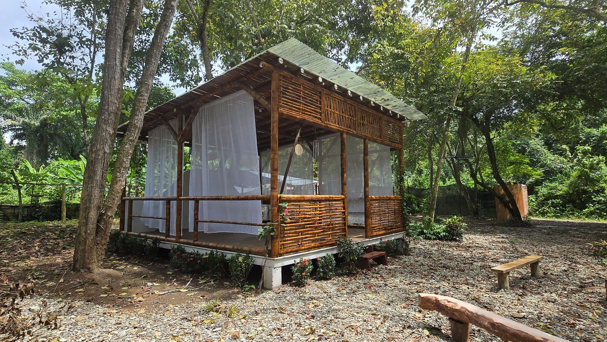 Una cabaña de bambú y madera entre los árboles de la finca