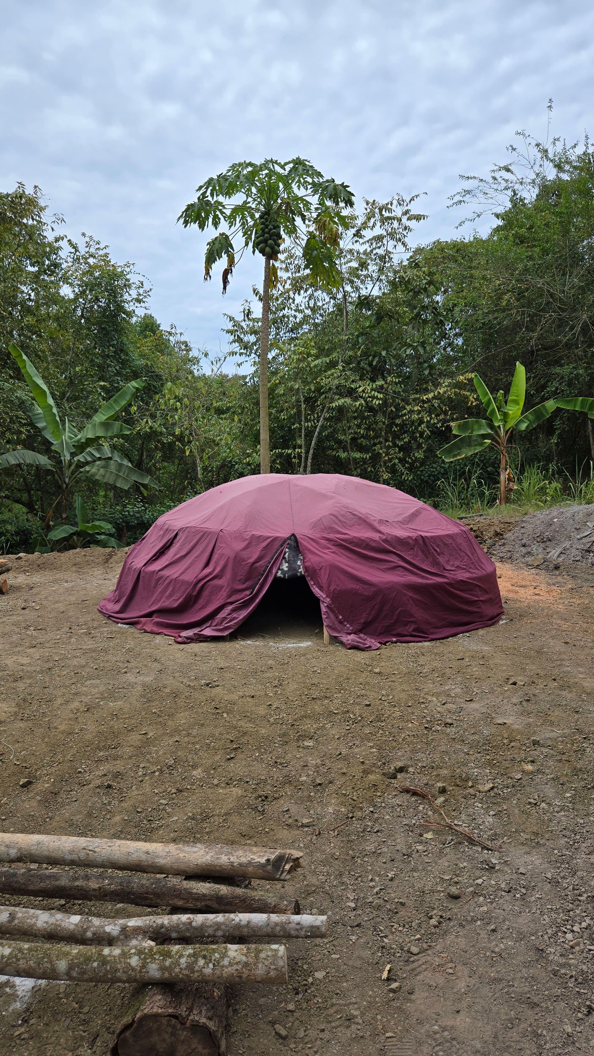 PlayaMagma's temazcal, a covered dome surrounded by forest