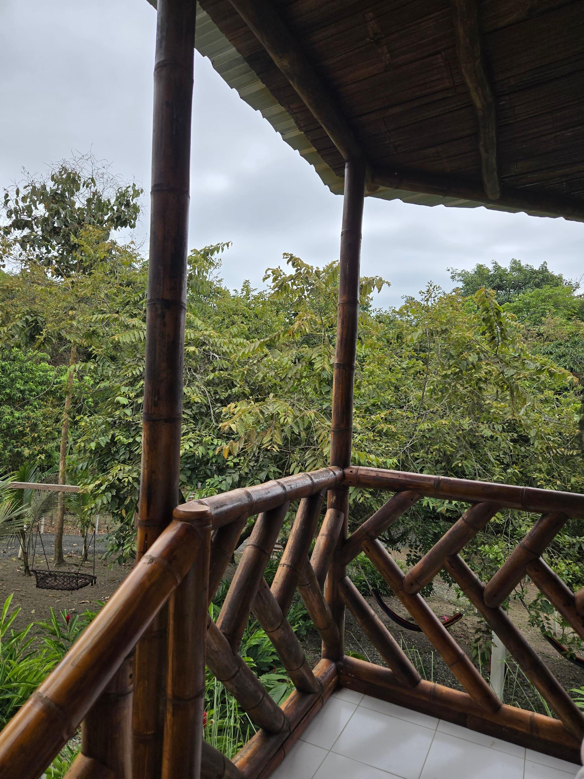 Vista del bosque desde el deck de la finca