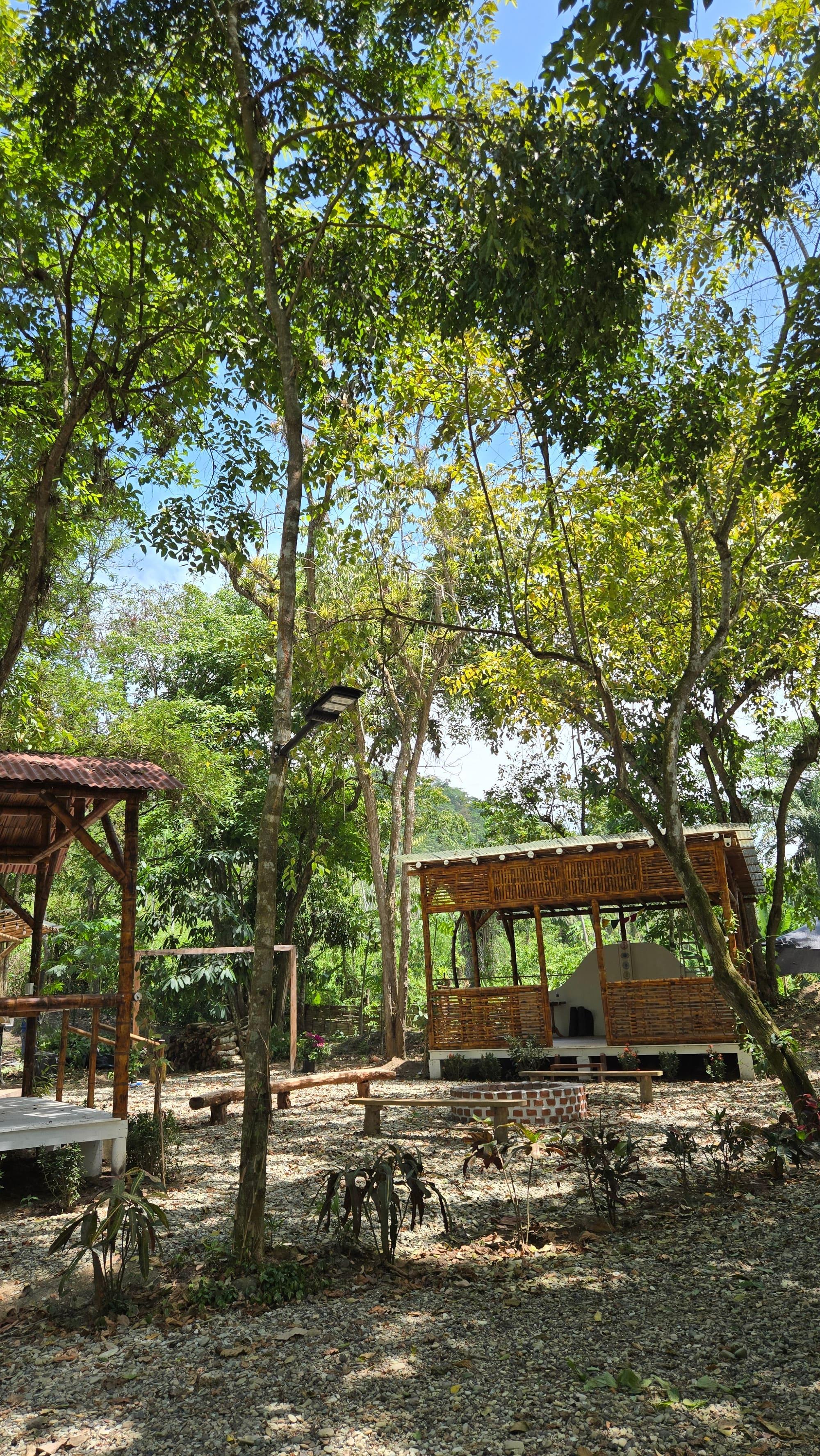 Zona de descanso bajo los árboles de la finca