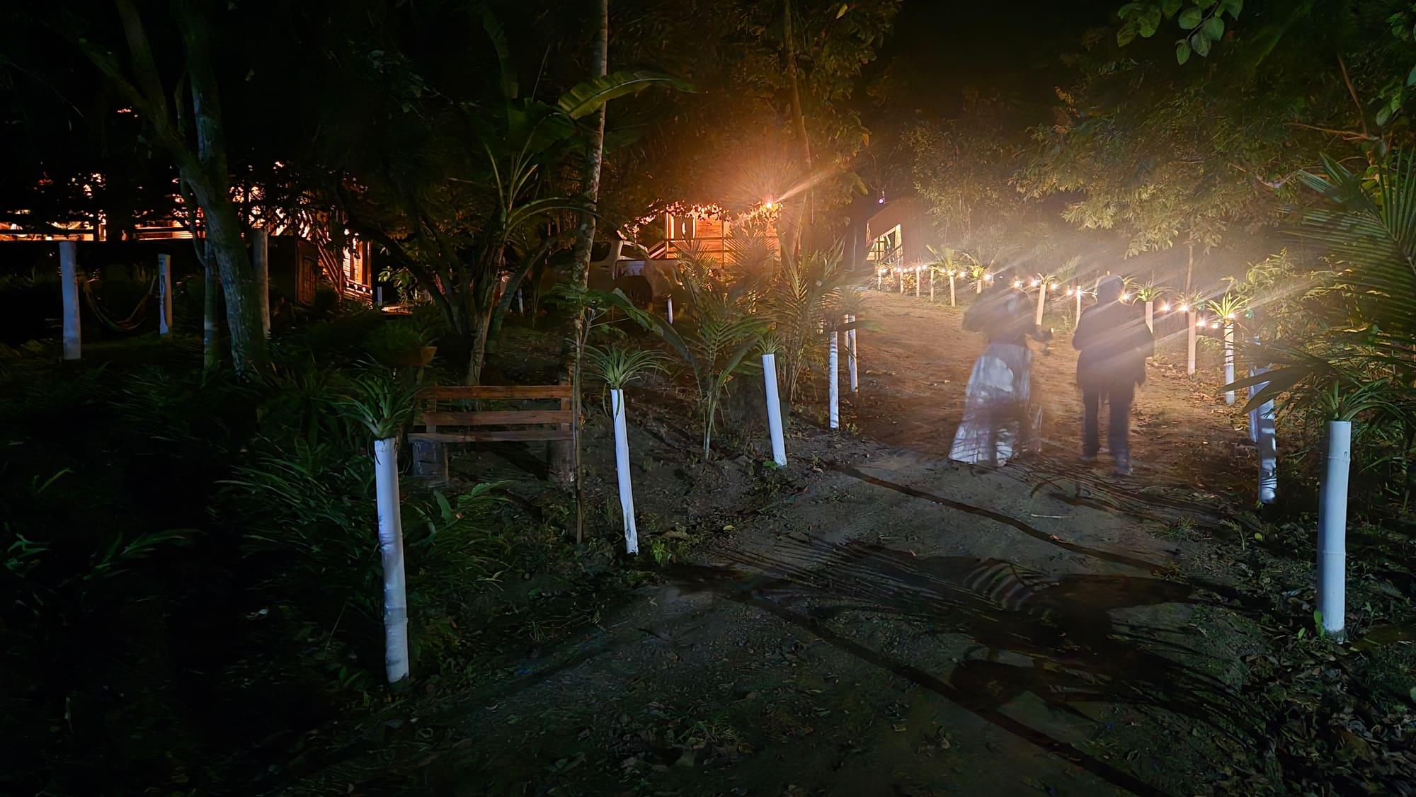 Los senderos de la finca iluminados al anochecer